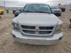 2010 DODGE Dakota