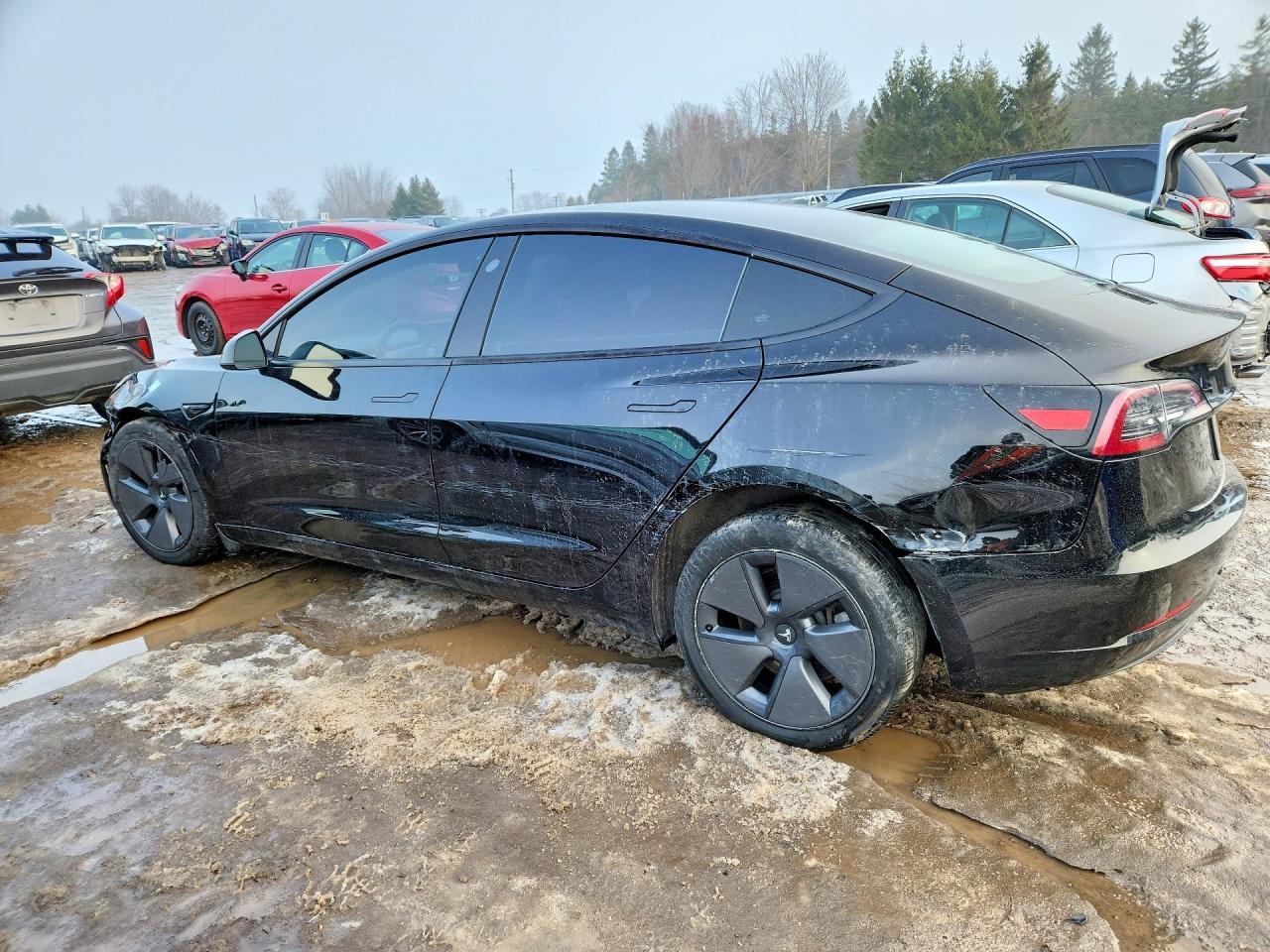 2023 TESLA MODEL 3