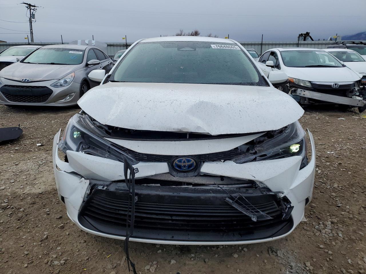 2023 TOYOTA COROLLA