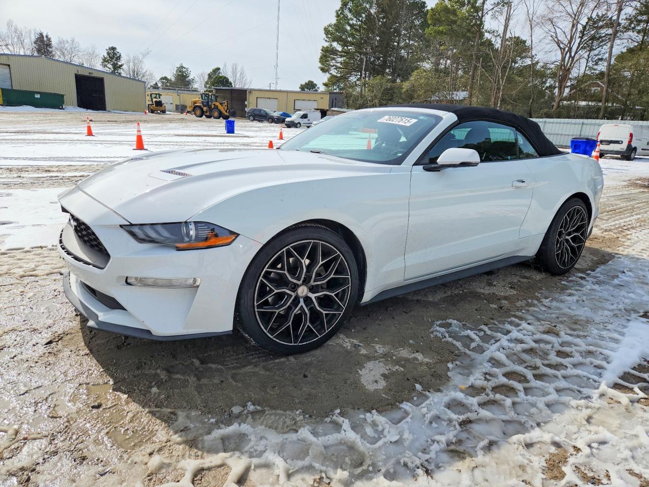 2019 FORD MUSTANG