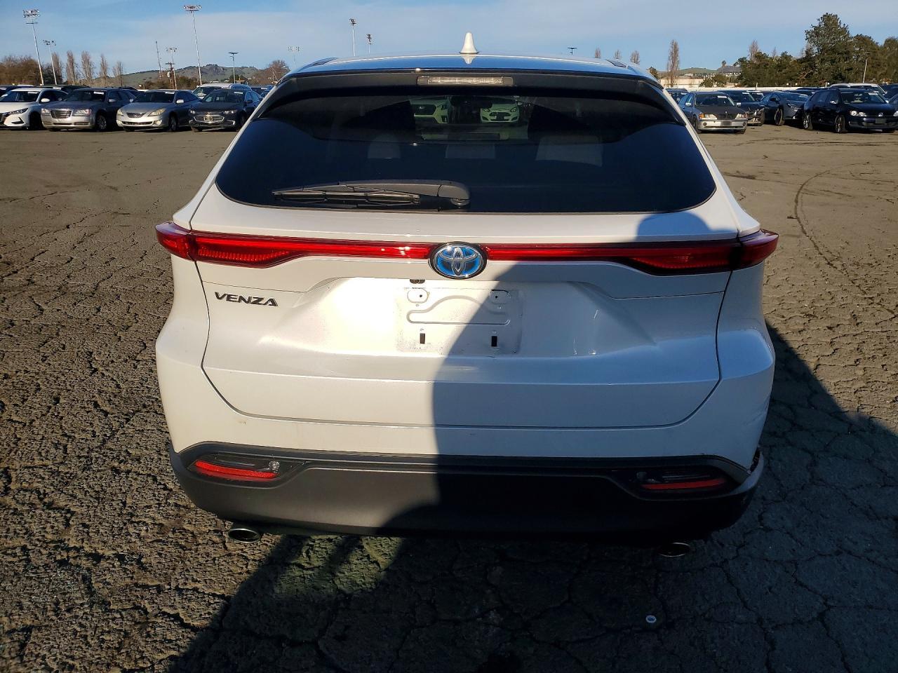 2023 TOYOTA VENZA
