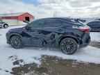 2023 LEXUS RX 350