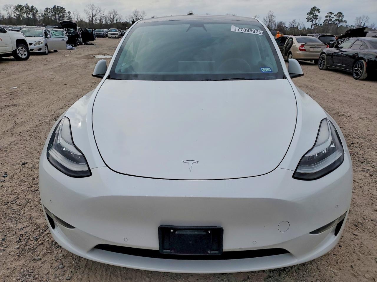2020 TESLA MODEL Y