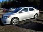 2009 TOYOTA COROLLA