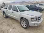 2010 DODGE Dakota