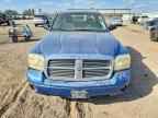 2006 DODGE Dakota