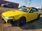 1999 FORD MUSTANG