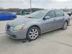2007 NISSAN Maxima