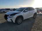 2019 LEXUS NX 300H