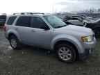 2009 MAZDA Tribute