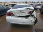 2004 LEXUS ES 330