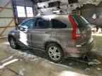 2010 HONDA CR-V