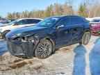 2024 LEXUS RX 350