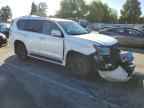 2022 LEXUS GX 460