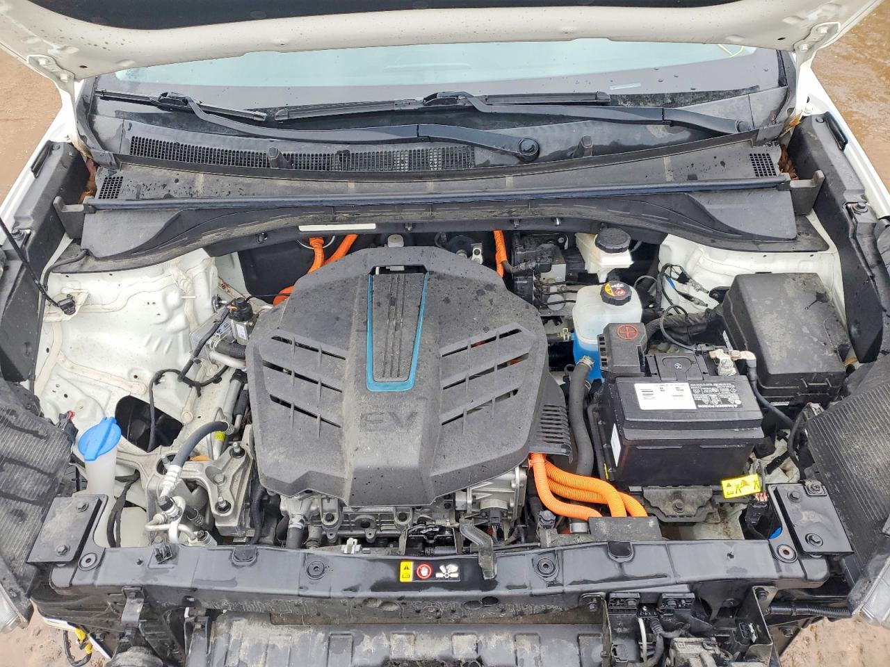 2021 KIA Niro