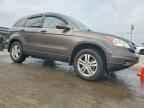 2010 HONDA CR-V