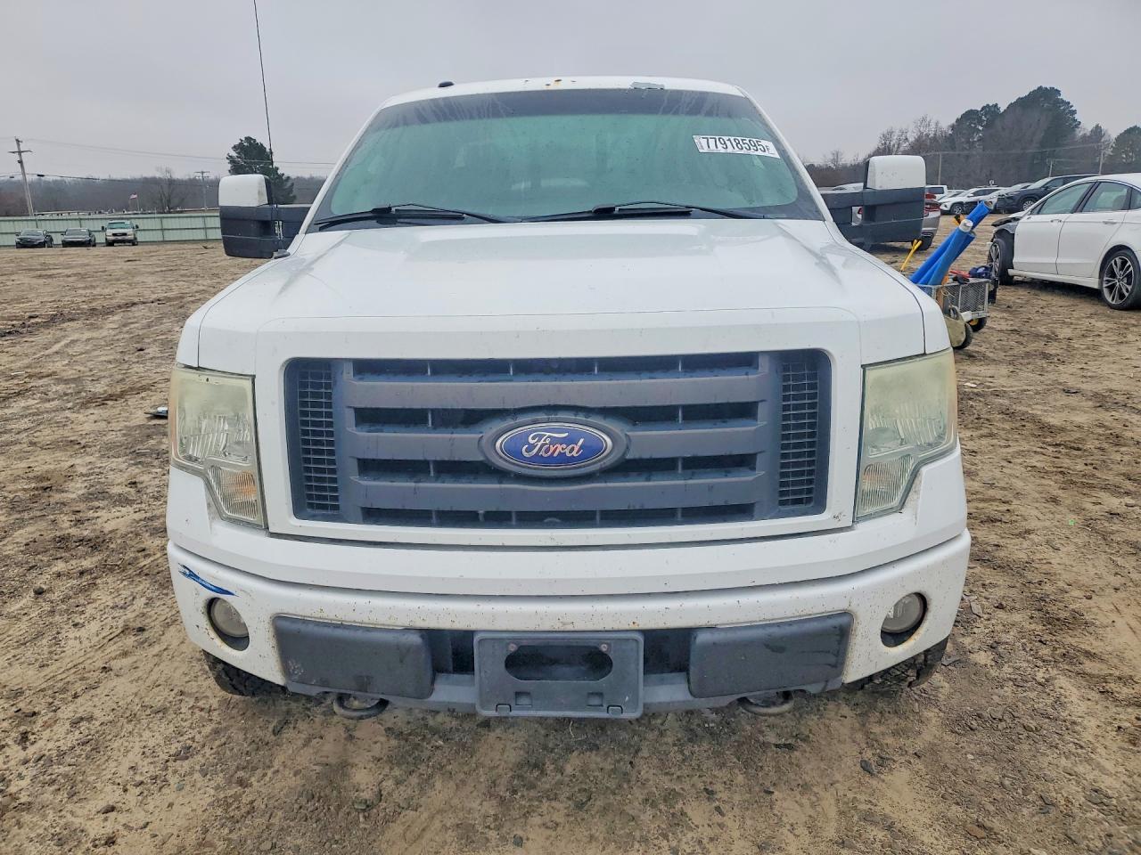 2010 FORD F-150 Lightning