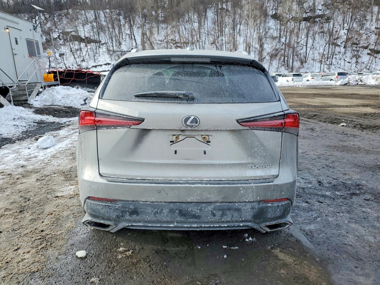 2020 LEXUS NX 300