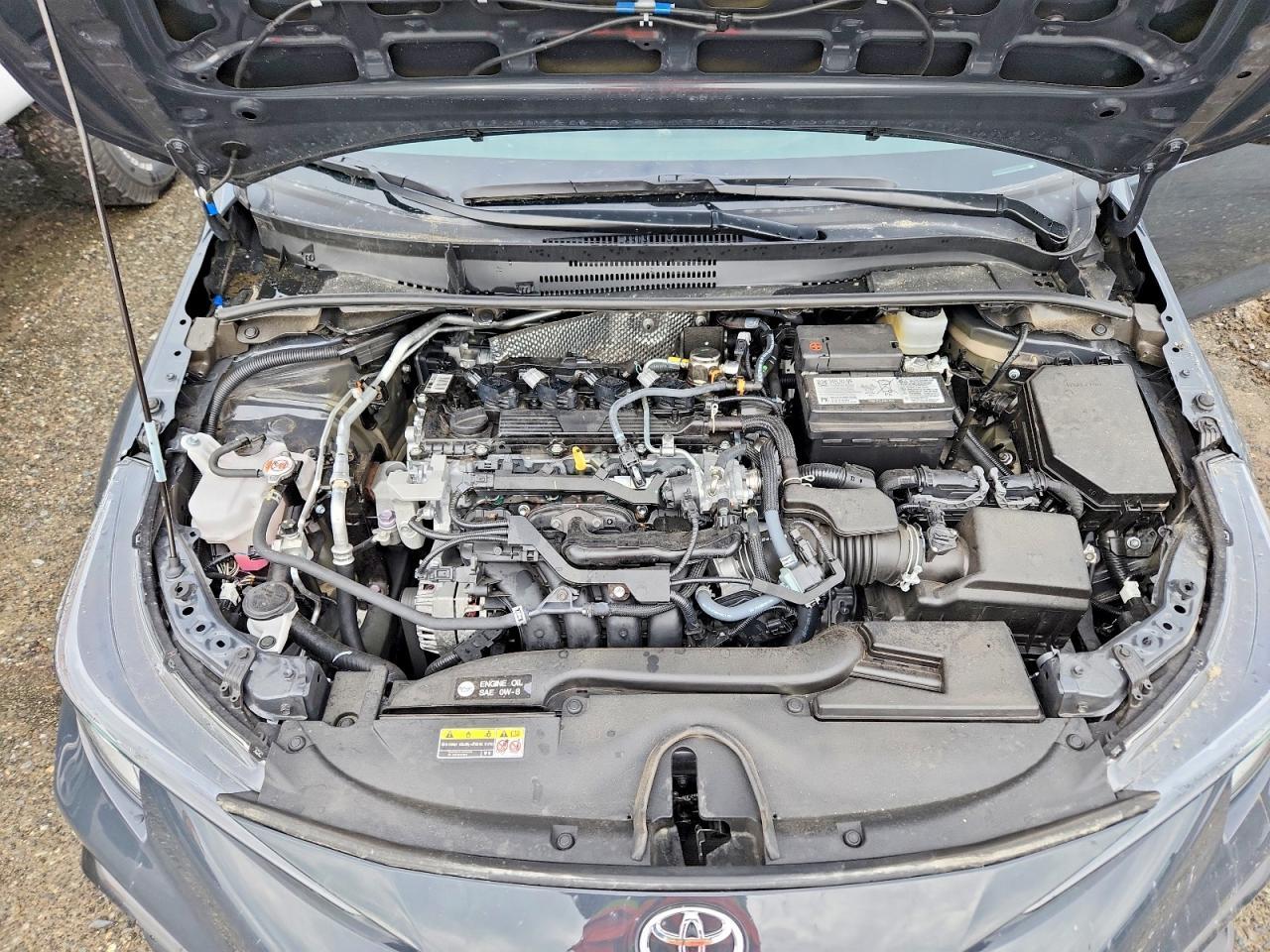 2025 TOYOTA COROLLA