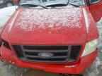 2007 FORD F-150