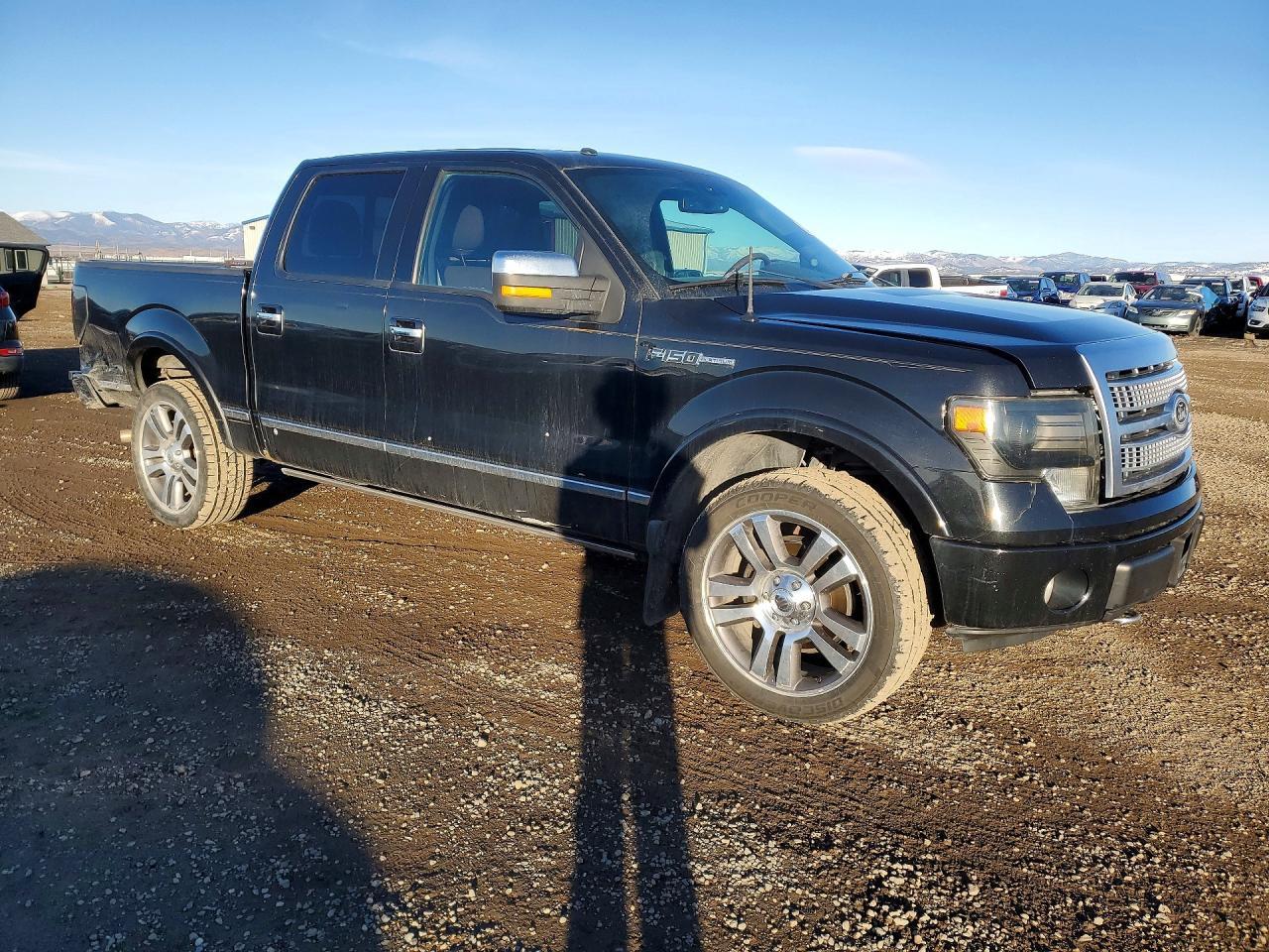 2010 FORD F-150 Lightning