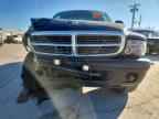2004 DODGE Dakota