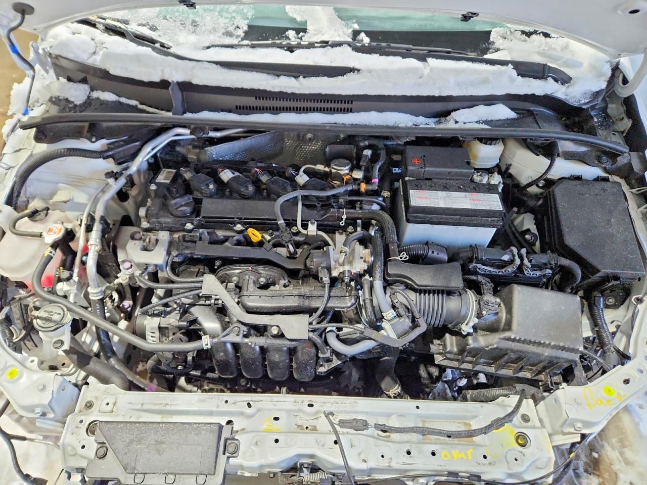 2023 TOYOTA COROLLA