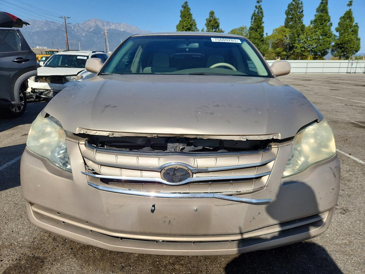2006 TOYOTA Avalon