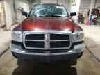 2005 DODGE Dakota