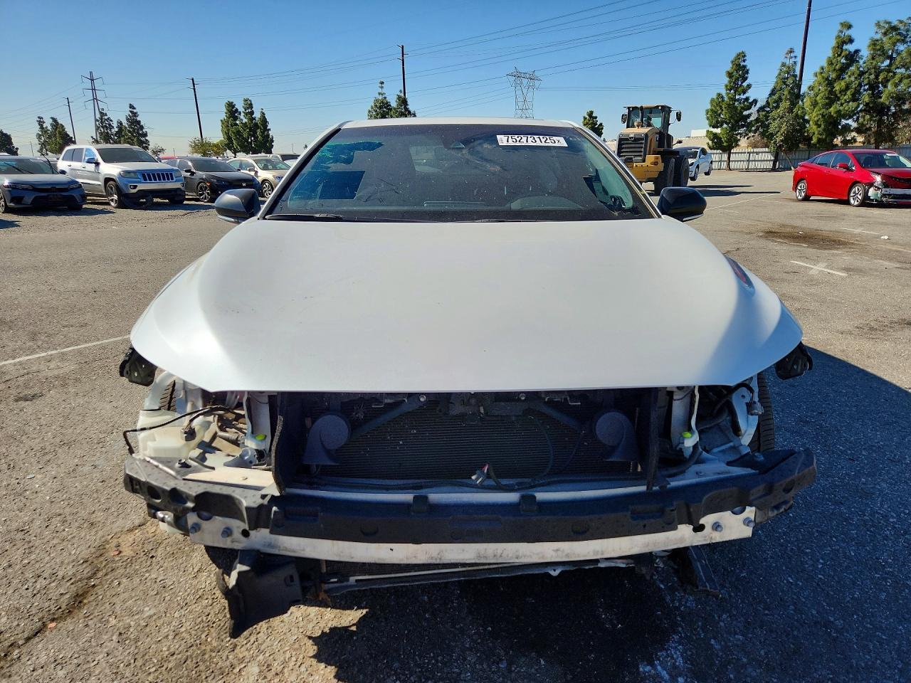 2019 TOYOTA Avalon