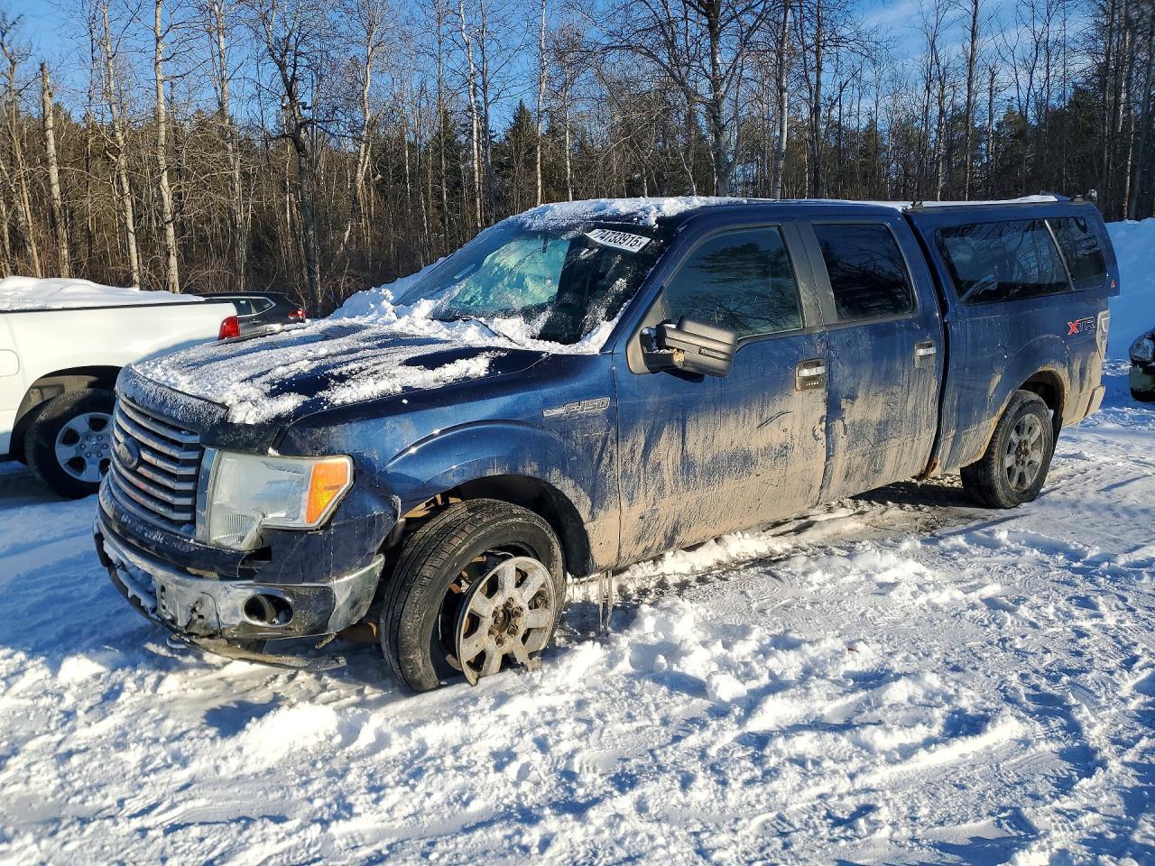 2010 FORD F-150