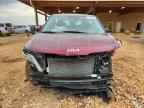 2024 KIA Carnival