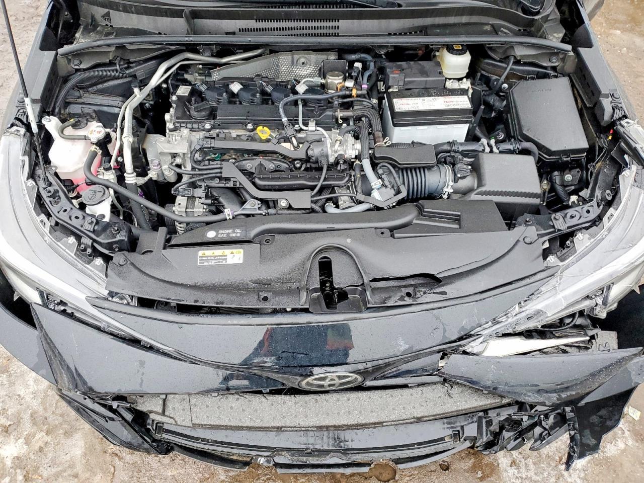 2025 TOYOTA COROLLA