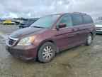 2010 HONDA ODYSSEY