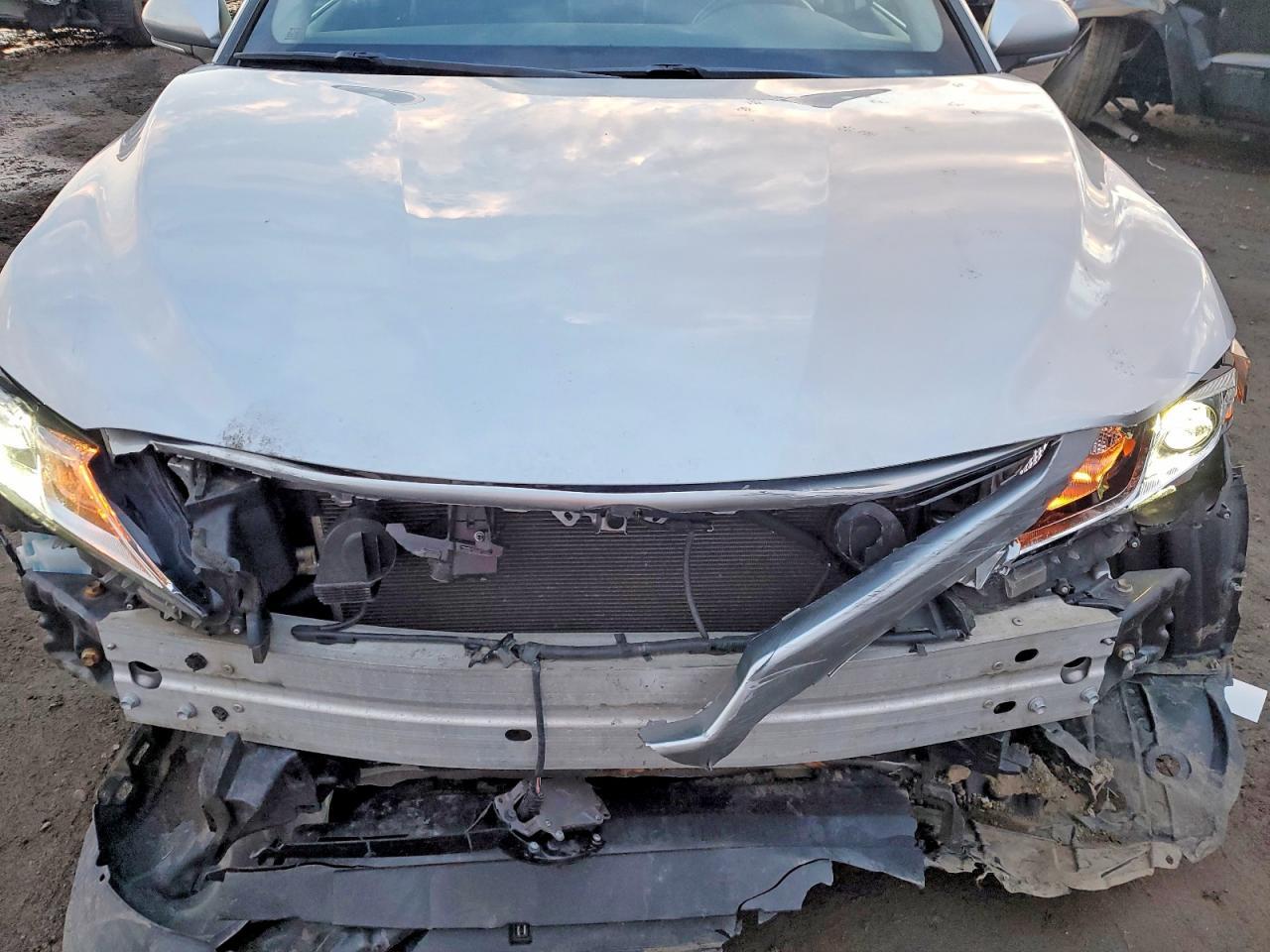 2019 TOYOTA CAMRY