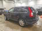 2007 HONDA CR-V