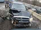 2007 DODGE Dakota