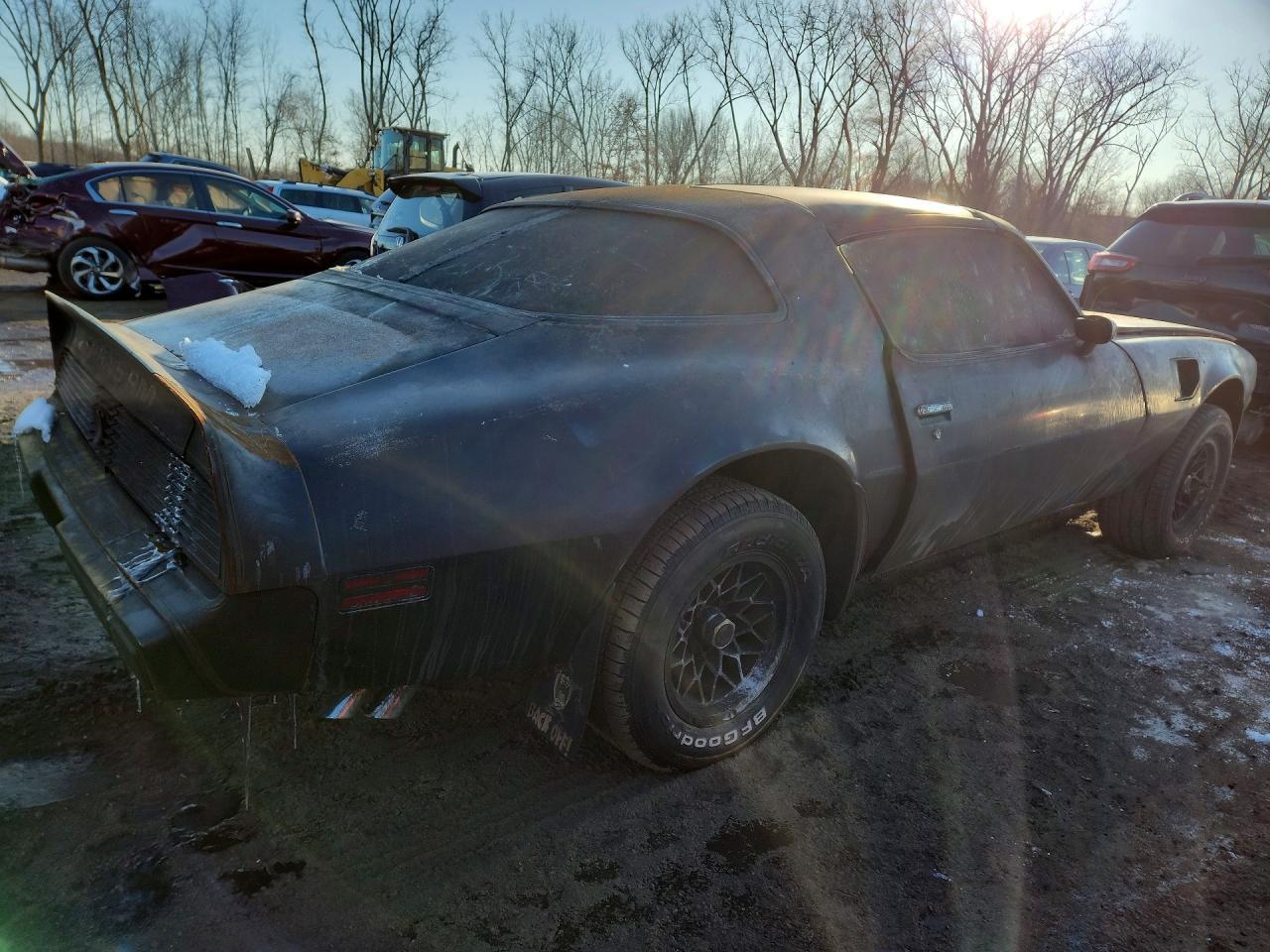 1981 PONTIAC Firebird