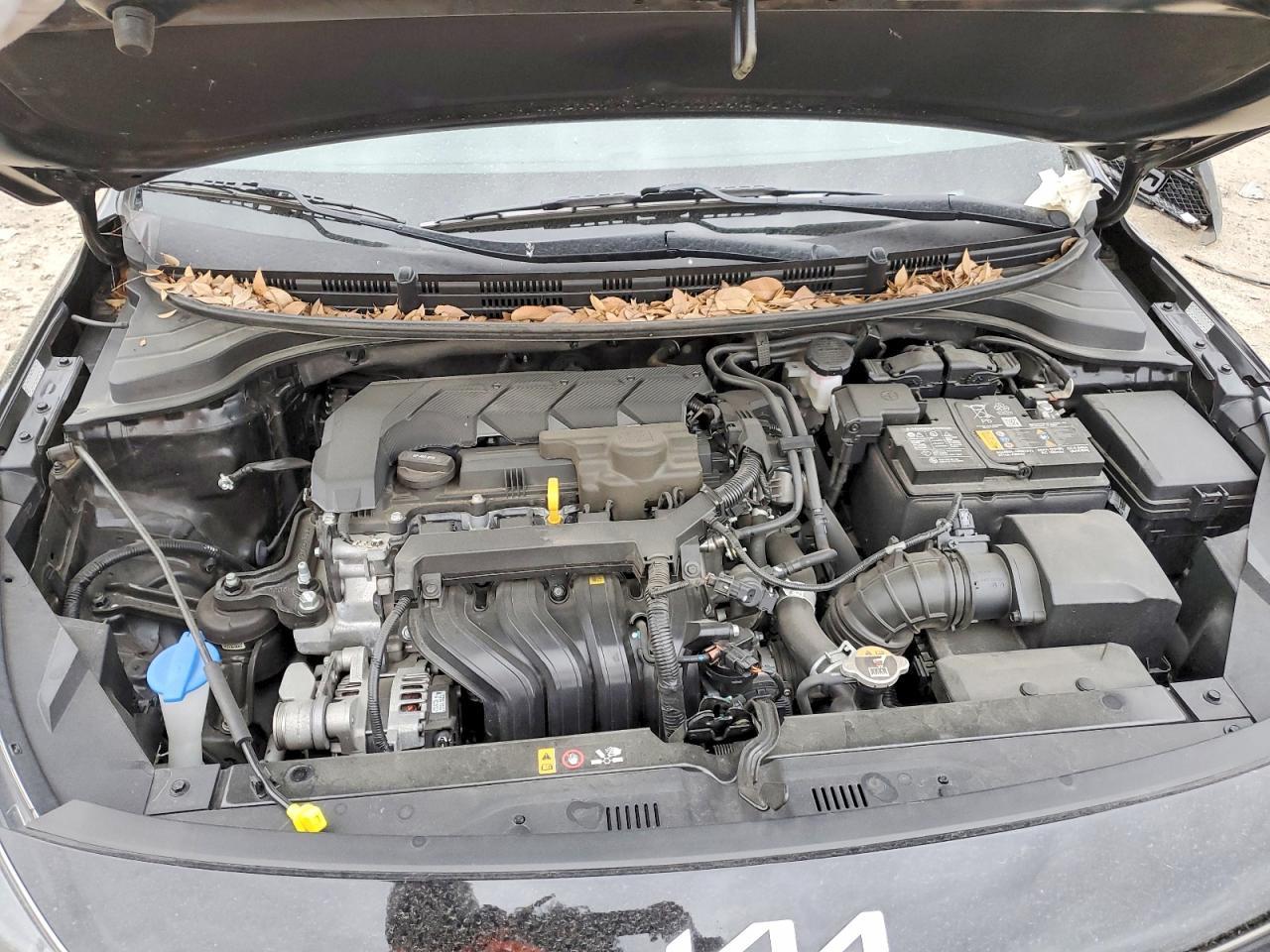 2023 KIA RIO