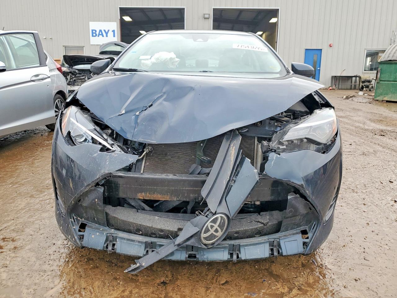 2019 TOYOTA COROLLA