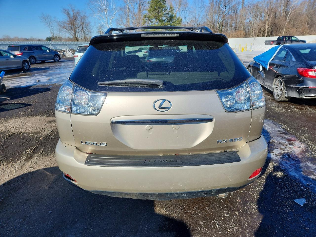 2004 LEXUS Rx 330