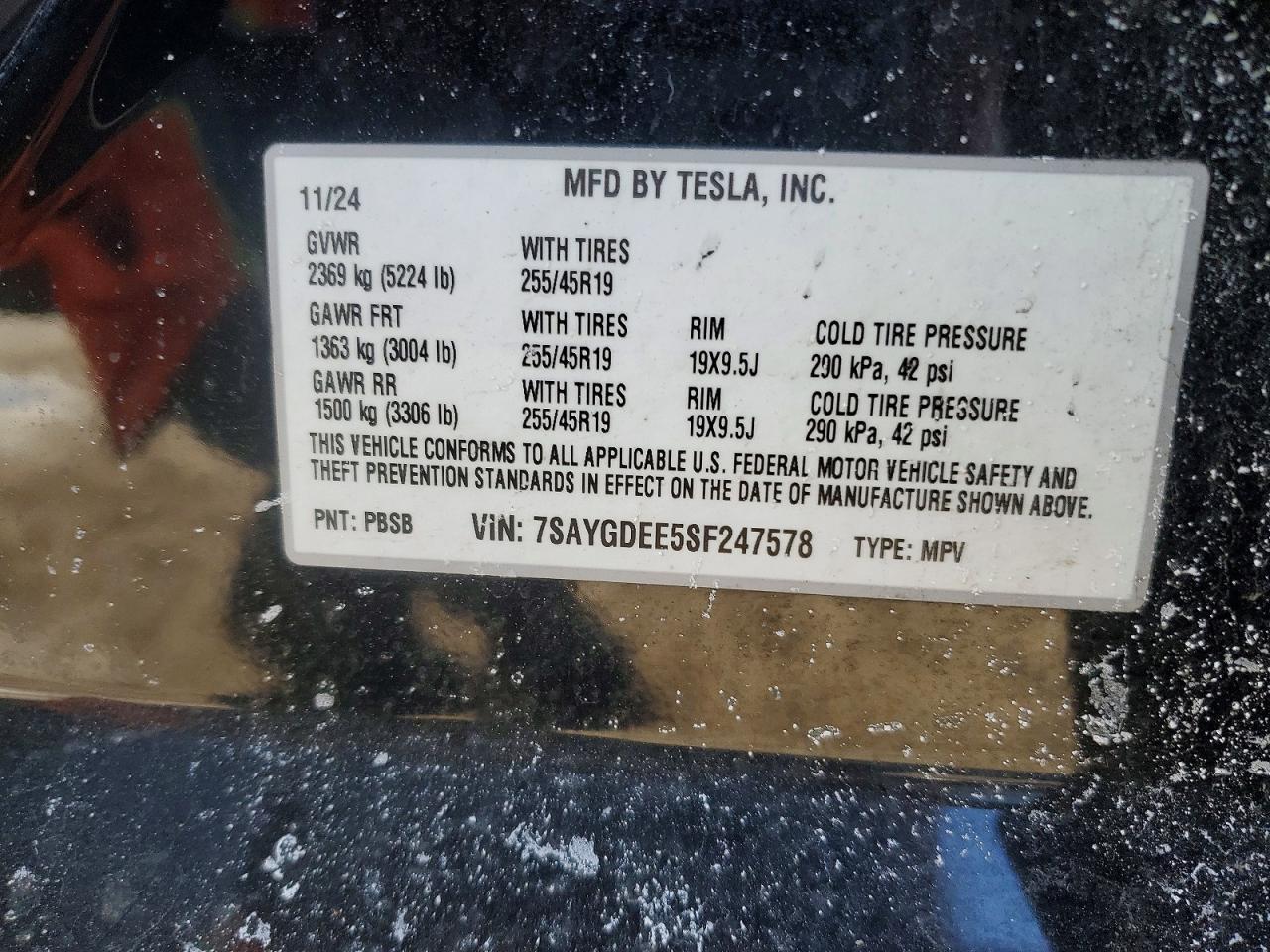 2025 TESLA MODEL Y