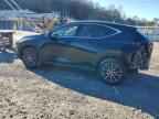 2024 LEXUS NX 350