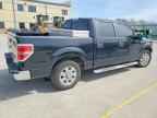 2013 FORD F-150 Lightning