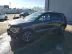 2026 KIA Niro