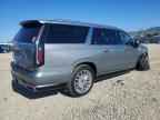 2024 CADILLAC Escalade ESV