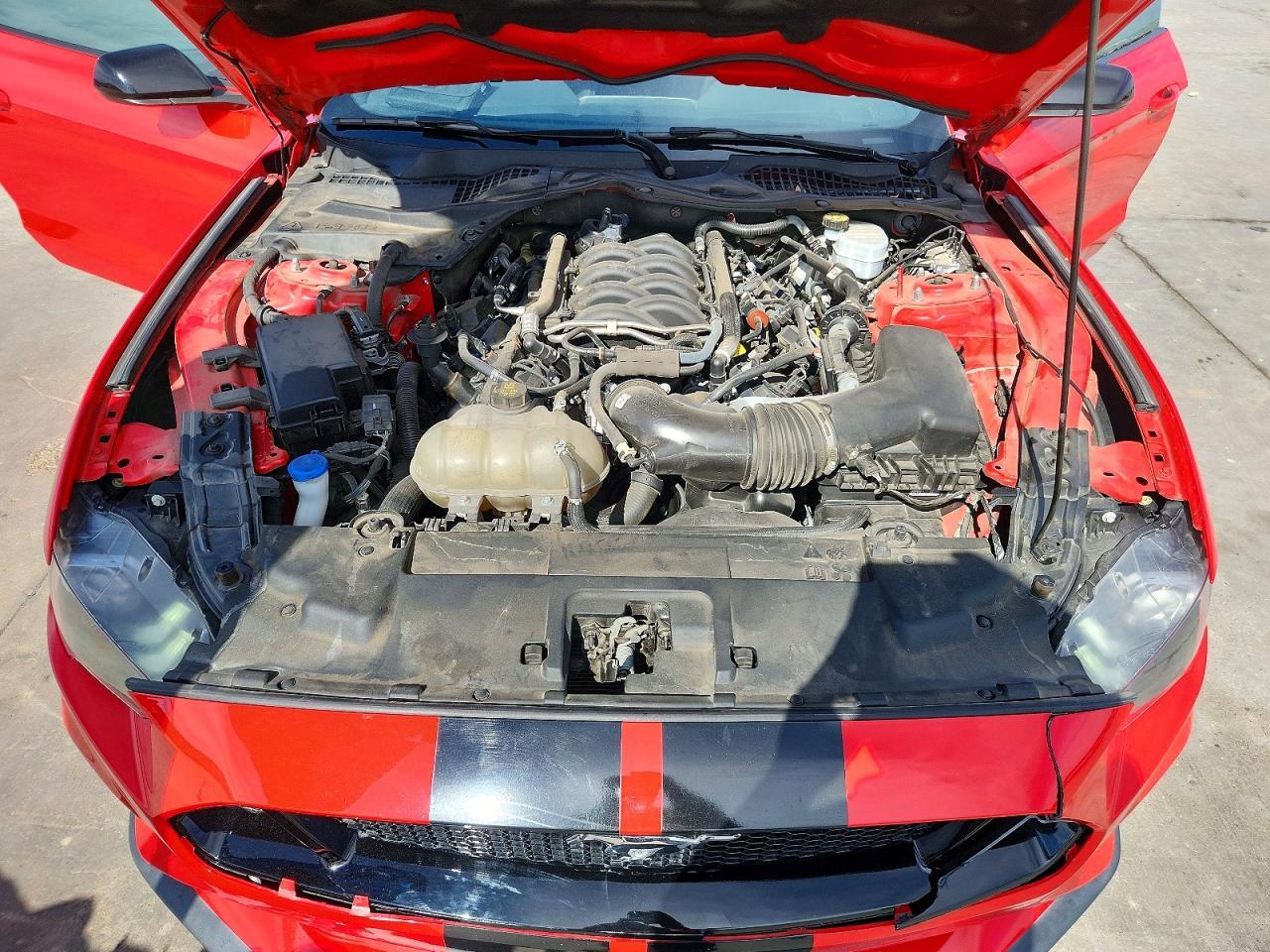 2021 FORD MUSTANG