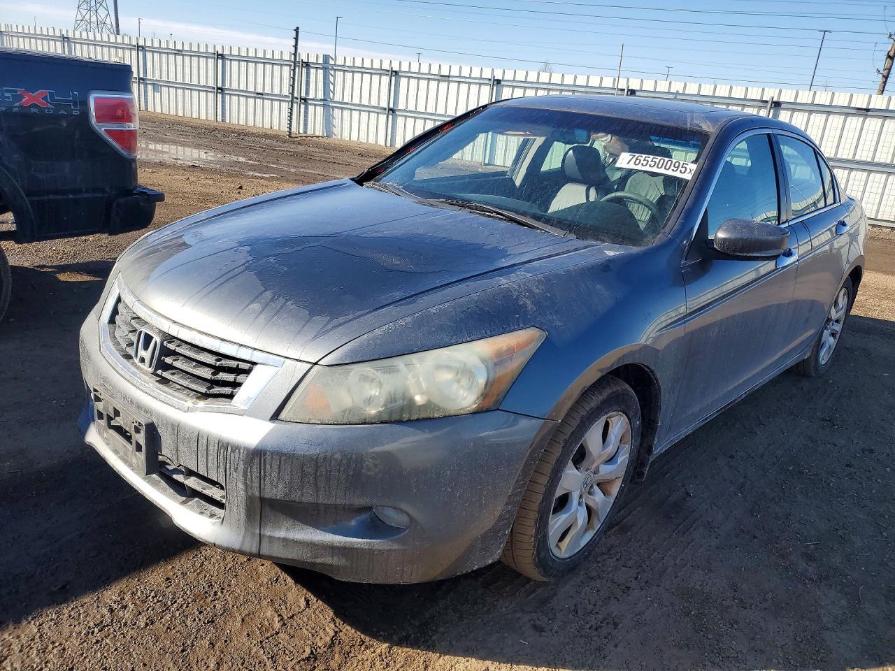 2010 HONDA ACCORD