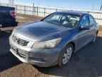 2010 HONDA ACCORD