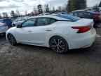 2018 NISSAN Maxima